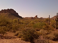 Pictures from iPhone 077